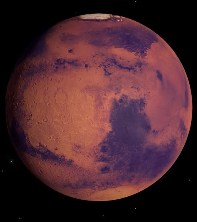 A vibrant meme coin logo A vibrant meme coin logo